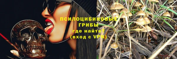 дурь Балахна