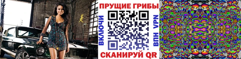 где купить   Корсаков  Псилоцибиновые грибы мухоморы 